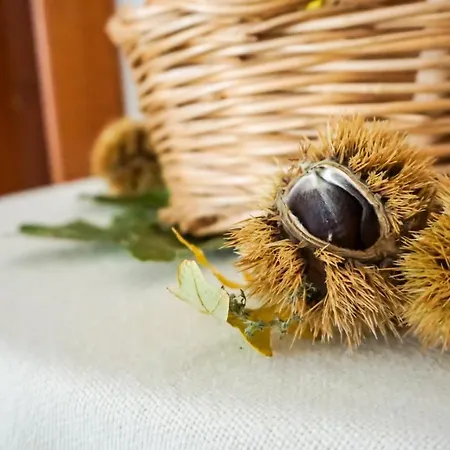 مزرعة للإقامة Costa San Bernardo Vaglio di Basilicata