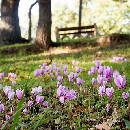 Costa San Bernardo * Vaglio di Basilicata