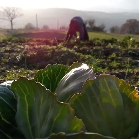 Costa San Bernardo * Vaglio di Basilicata