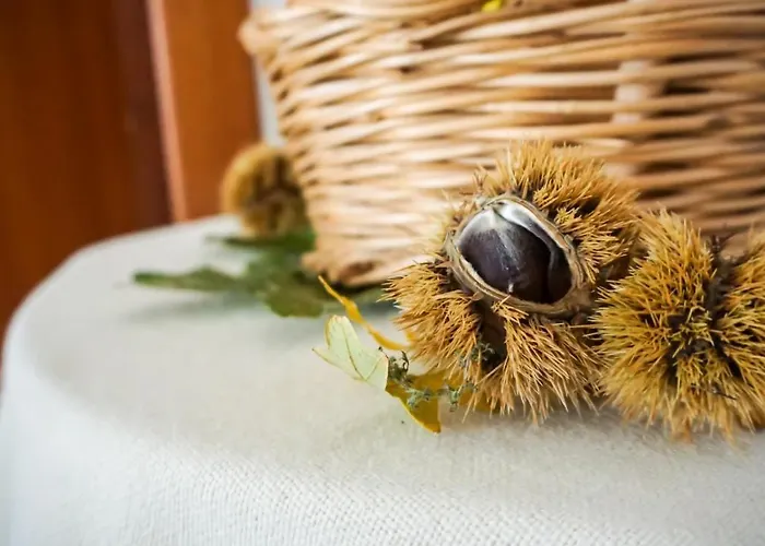 مزرعة للإقامة Costa San Bernardo Vaglio di Basilicata